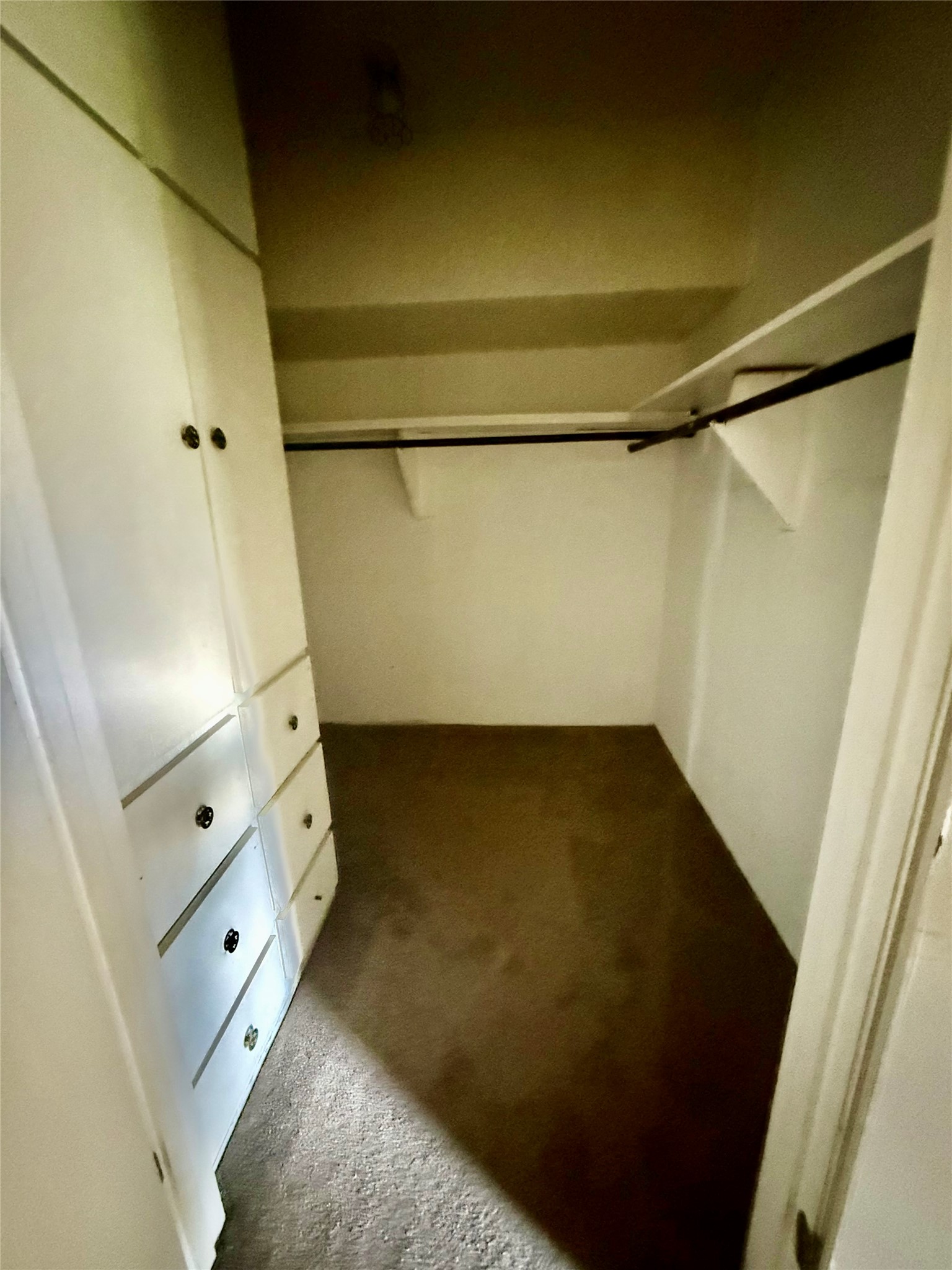 254 Lone Star Road Bastrop, TX 78602 - Photo 11 of 20 Spacious primary walk-in closet