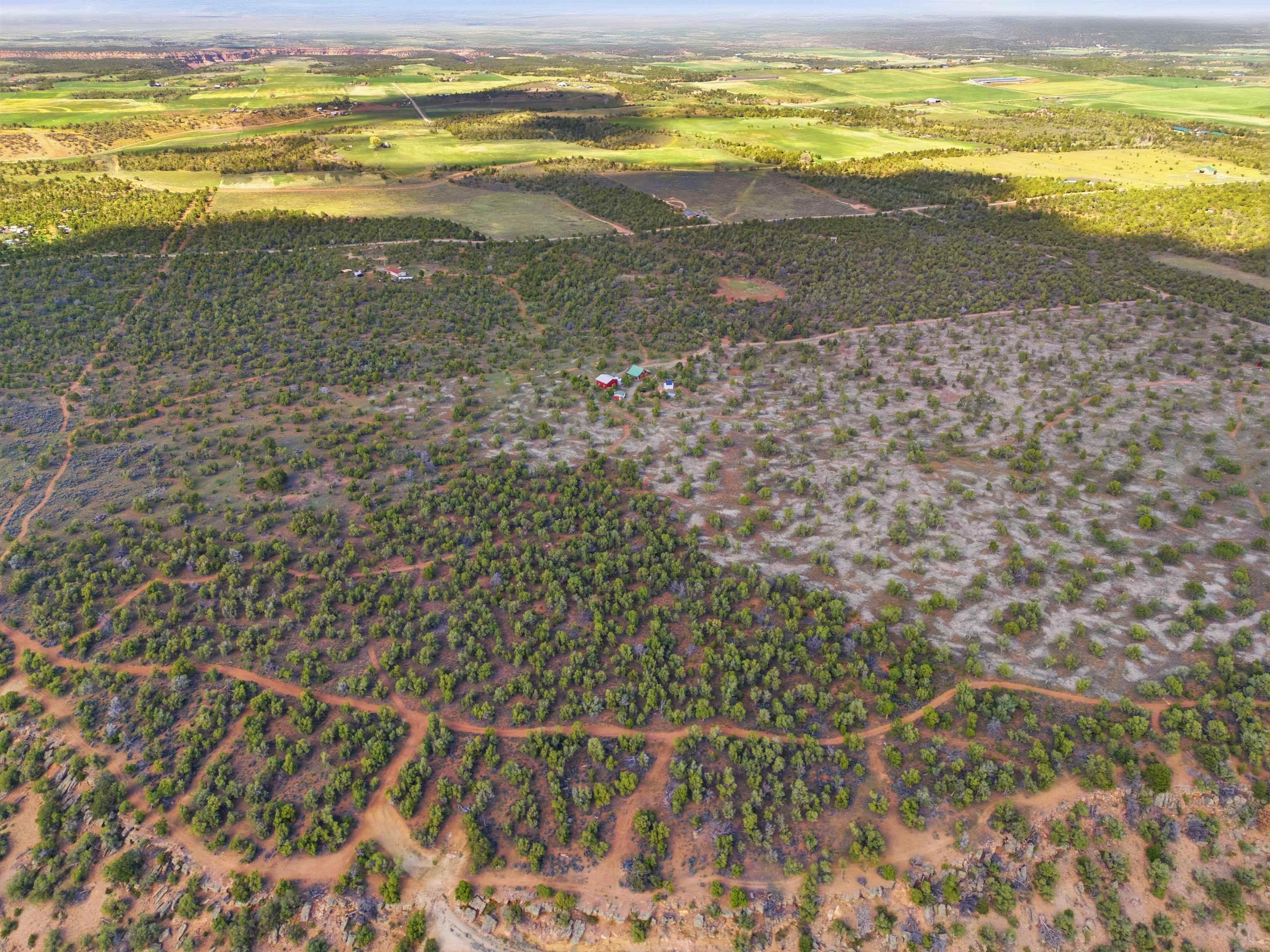 75800 B 76th Road Crawford, CO 81415 - Photo 18 of 40