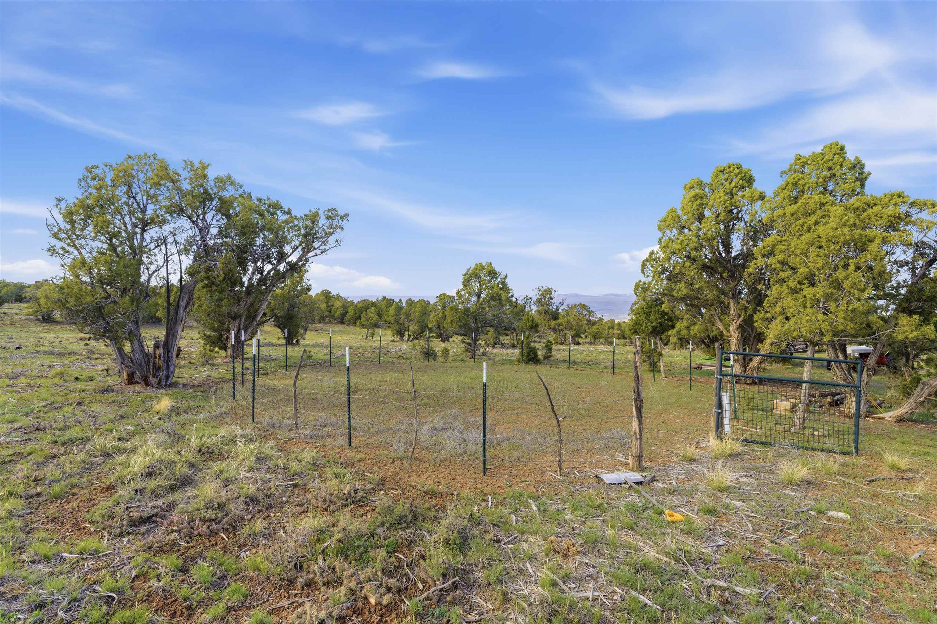 75800 B 76th Road Crawford, CO 81415 - Photo 26 of 40