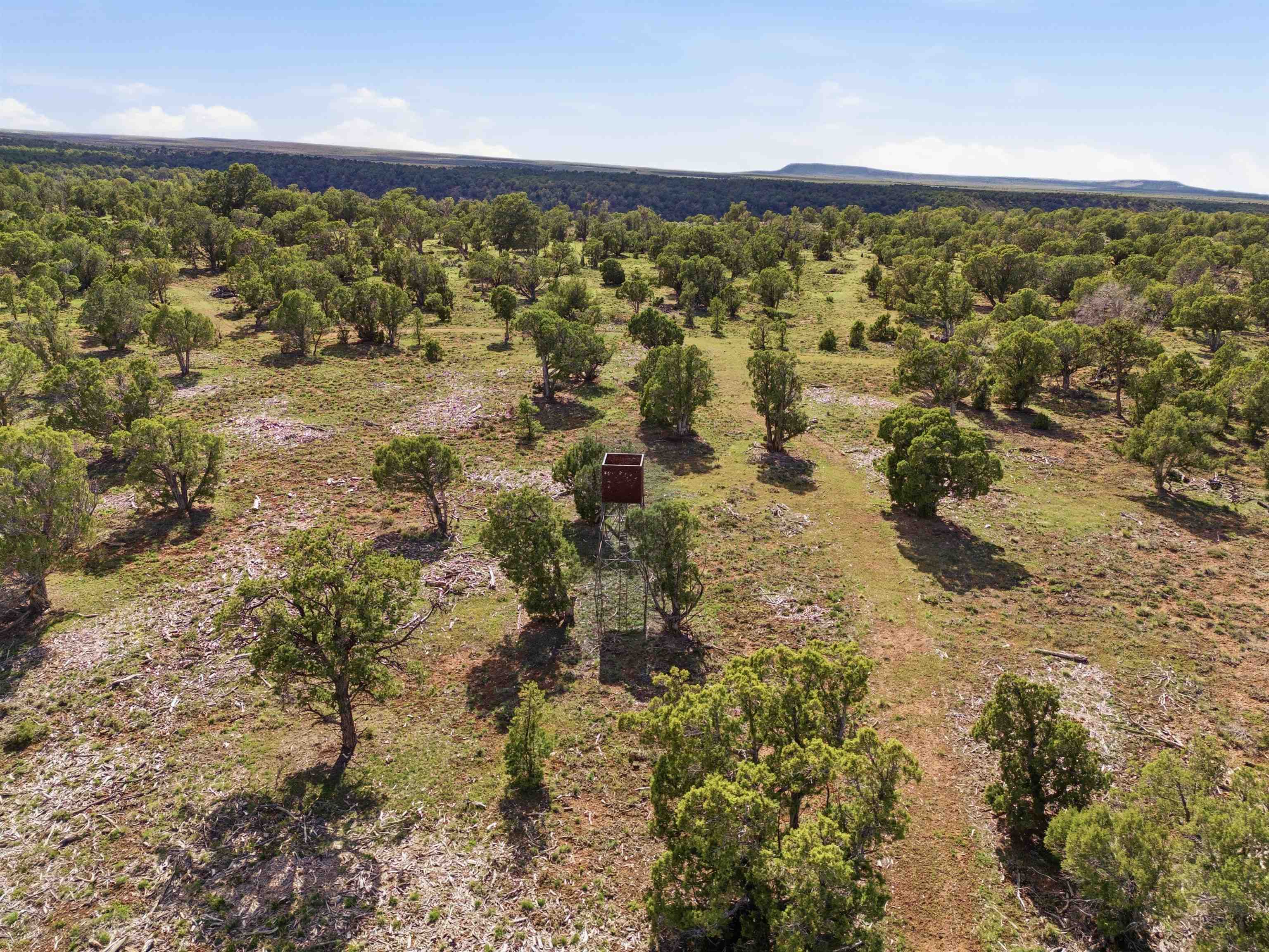 75800 B 76th Road Crawford, CO 81415 - Photo 34 of 40