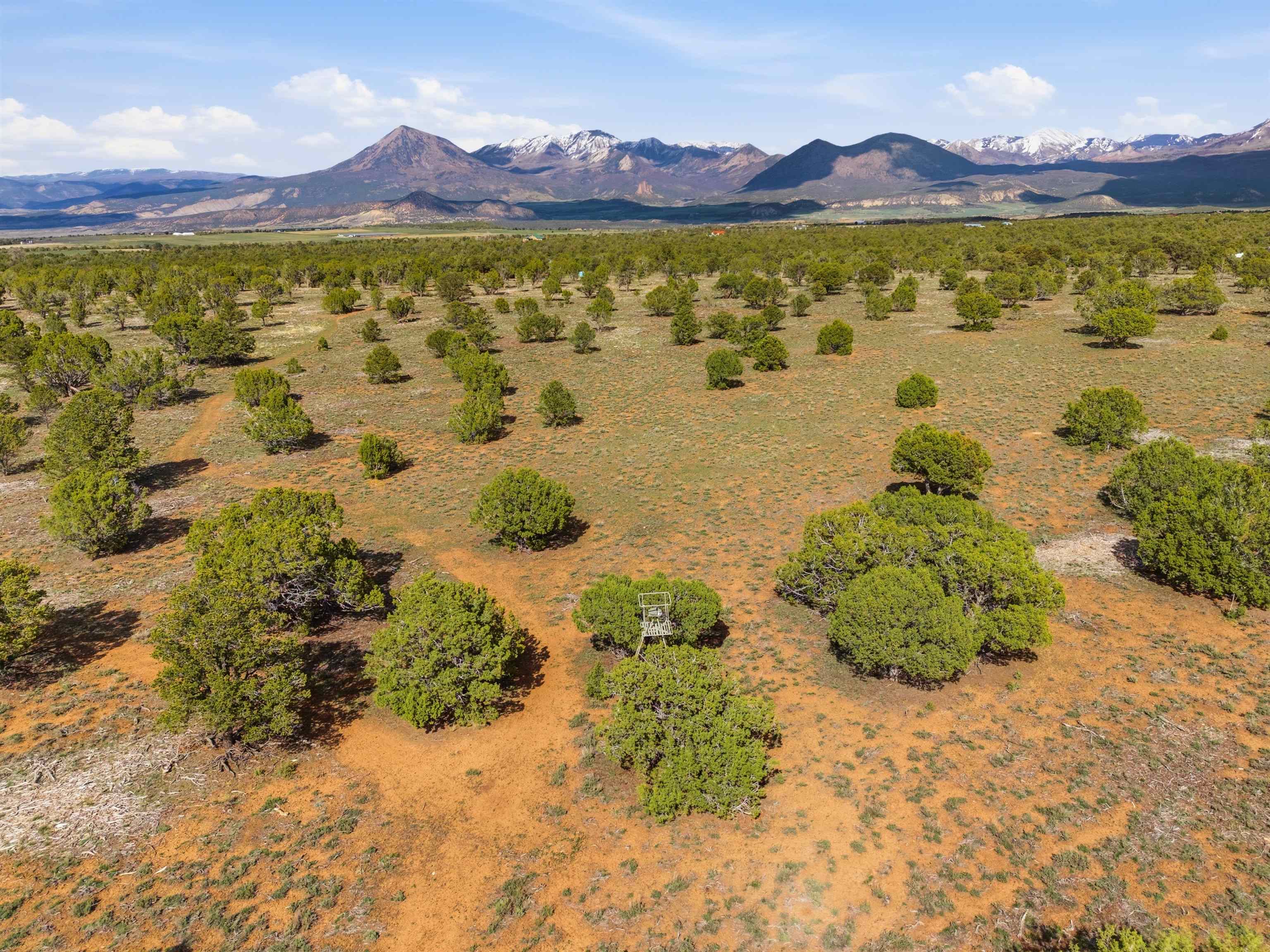 75800 B 76th Road Crawford, CO 81415 - Photo 36 of 40