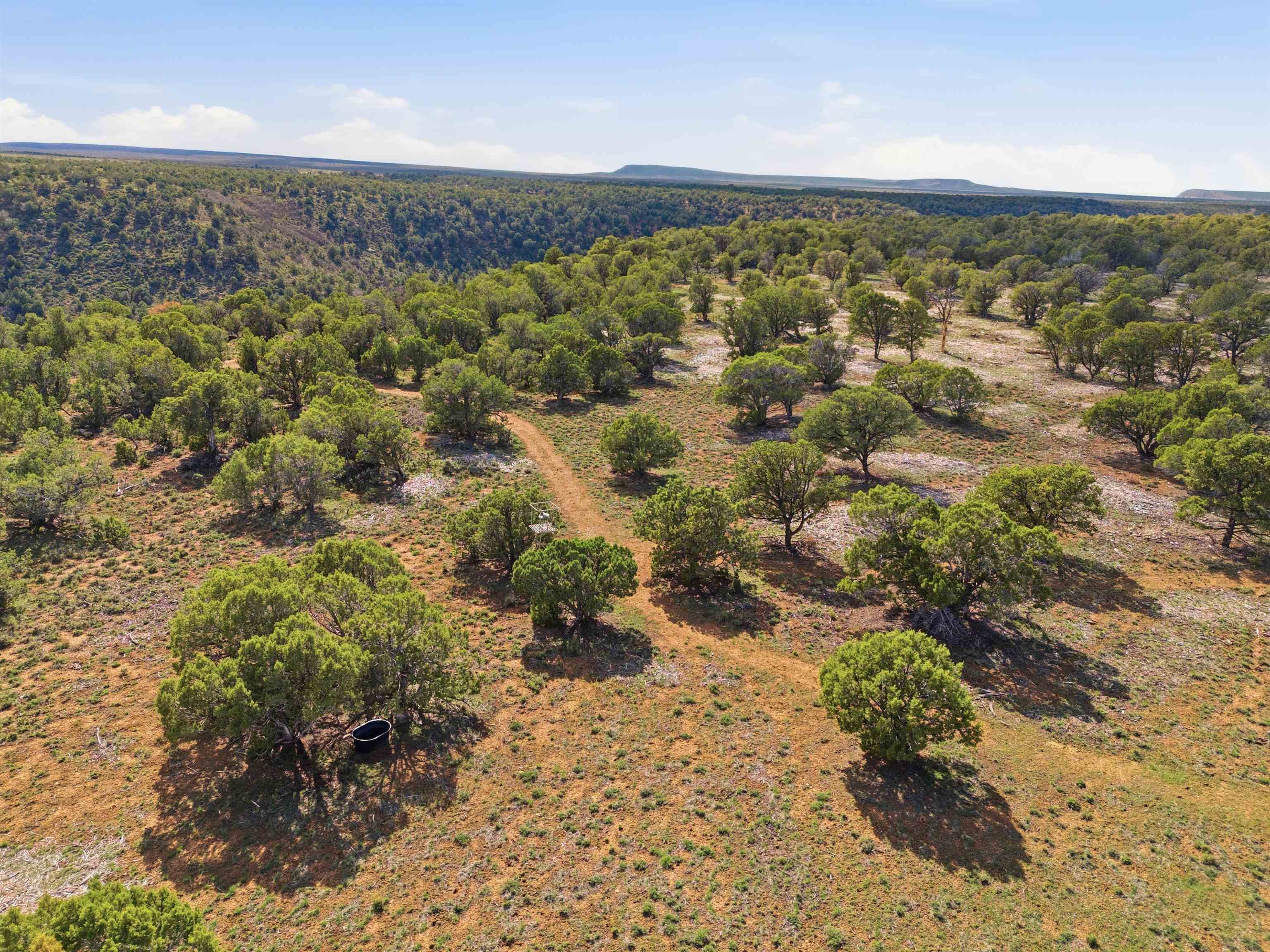 75800 B 76th Road Crawford, CO 81415 - Photo 37 of 40