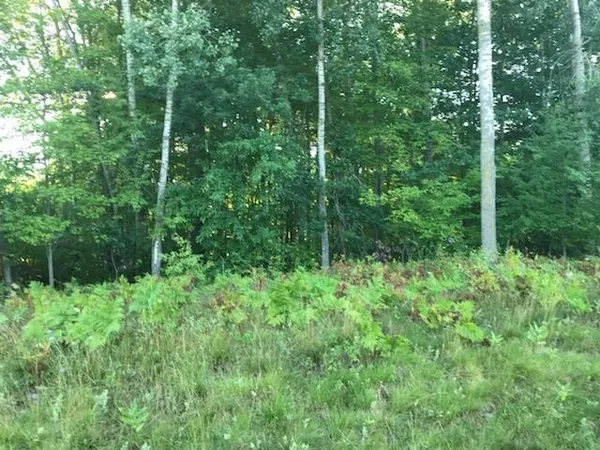$12,900 | N/a Noble Road, Tawas City, MI 48763
