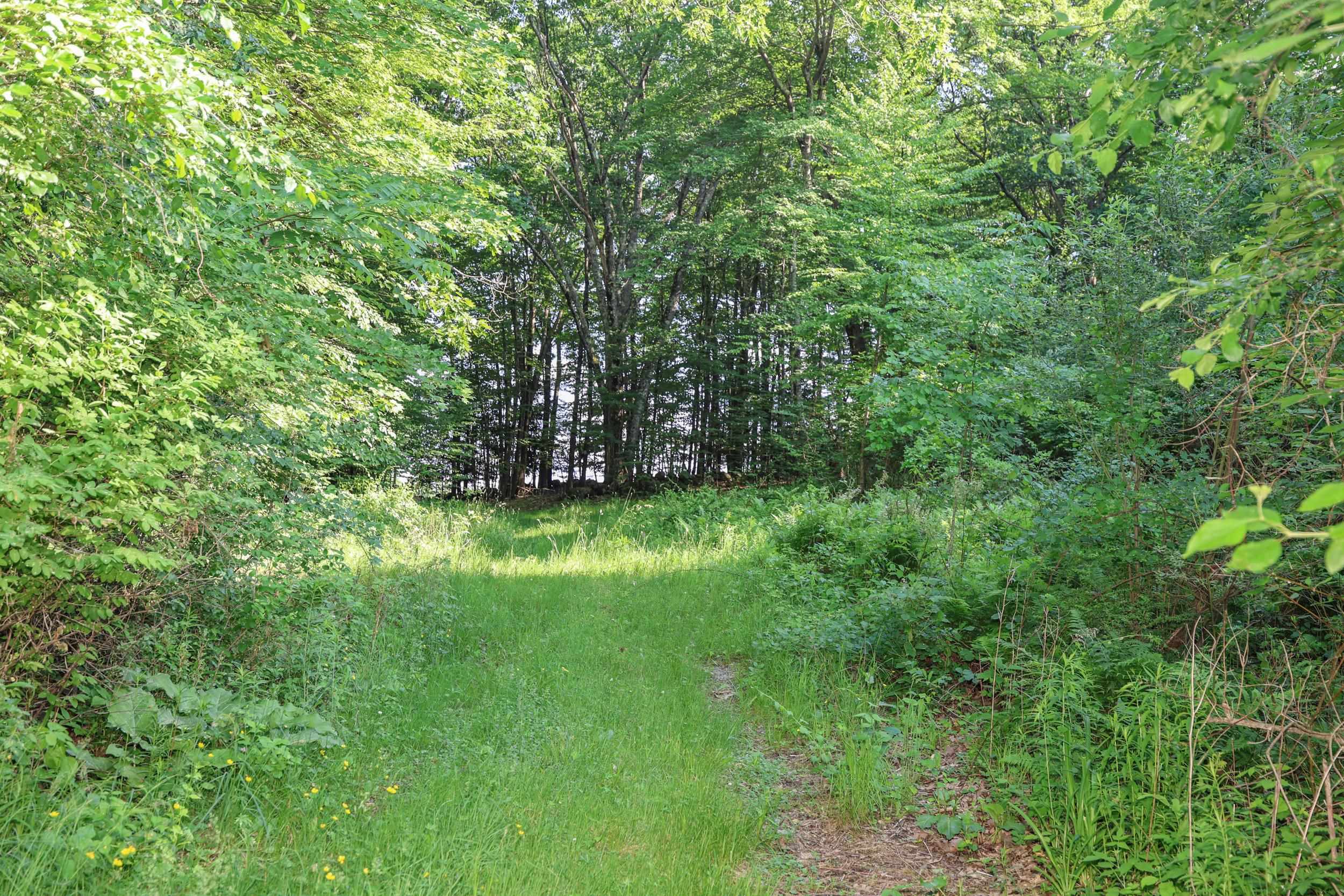 107 Greenfield Road New Boston, NH 03070 - Photo 31 of 59
