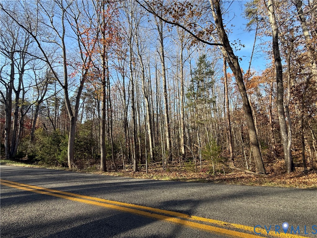 0 Hadensville-Fife Road Goochland, VA 23063 - Photo 2 of 14 a view of a yard with large trees