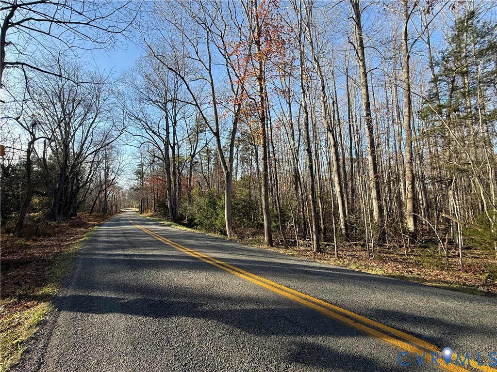 0 Hadensville-Fife Road Goochland, VA 23063 - Photo 3 of 14 a view of a yard with large trees