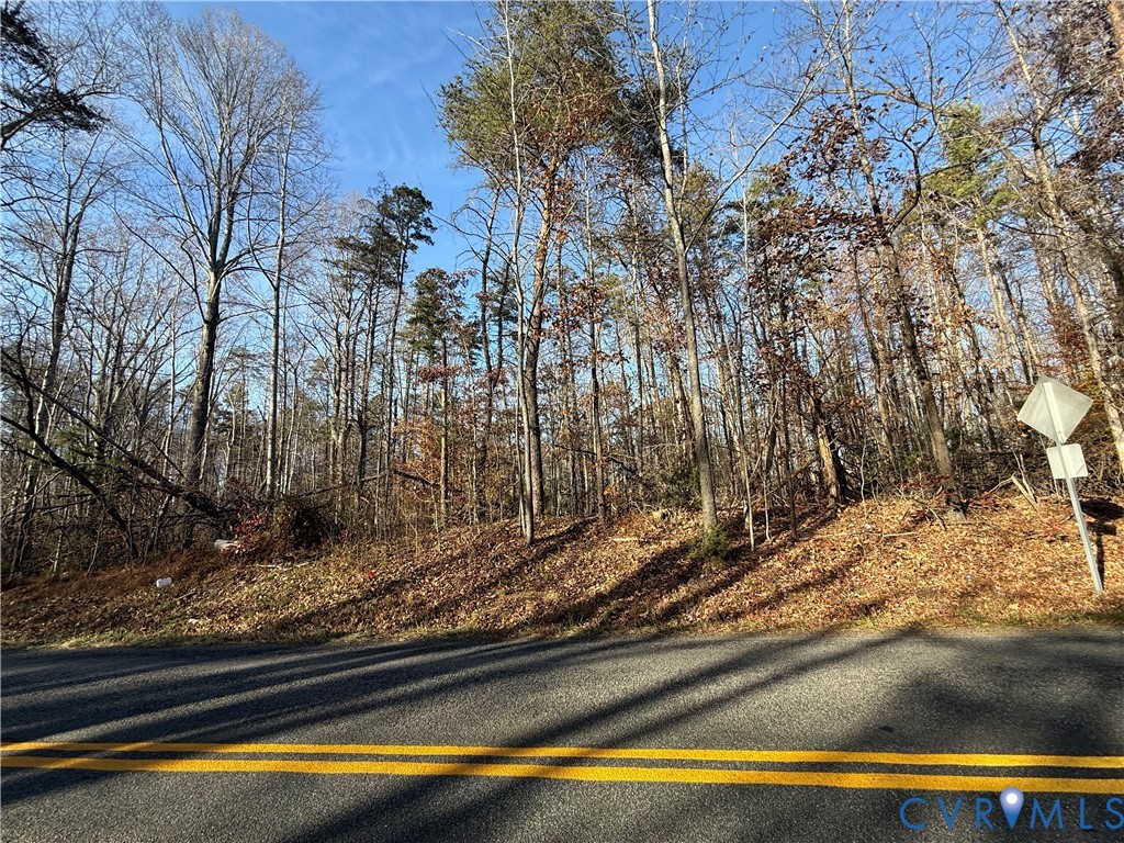 0 Hadensville-Fife Road Goochland, VA 23063 - Photo 4 of 14