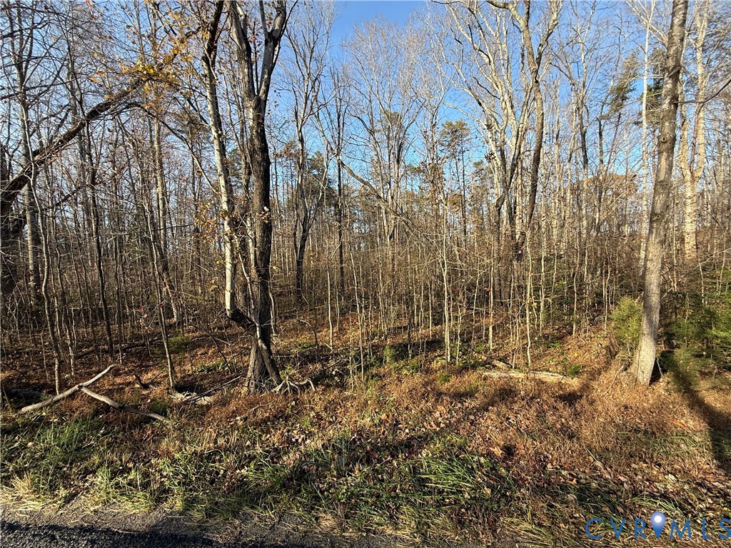 0 Hadensville-Fife Road Goochland, VA 23063 - Photo 5 of 14 a view of outdoor space and garden