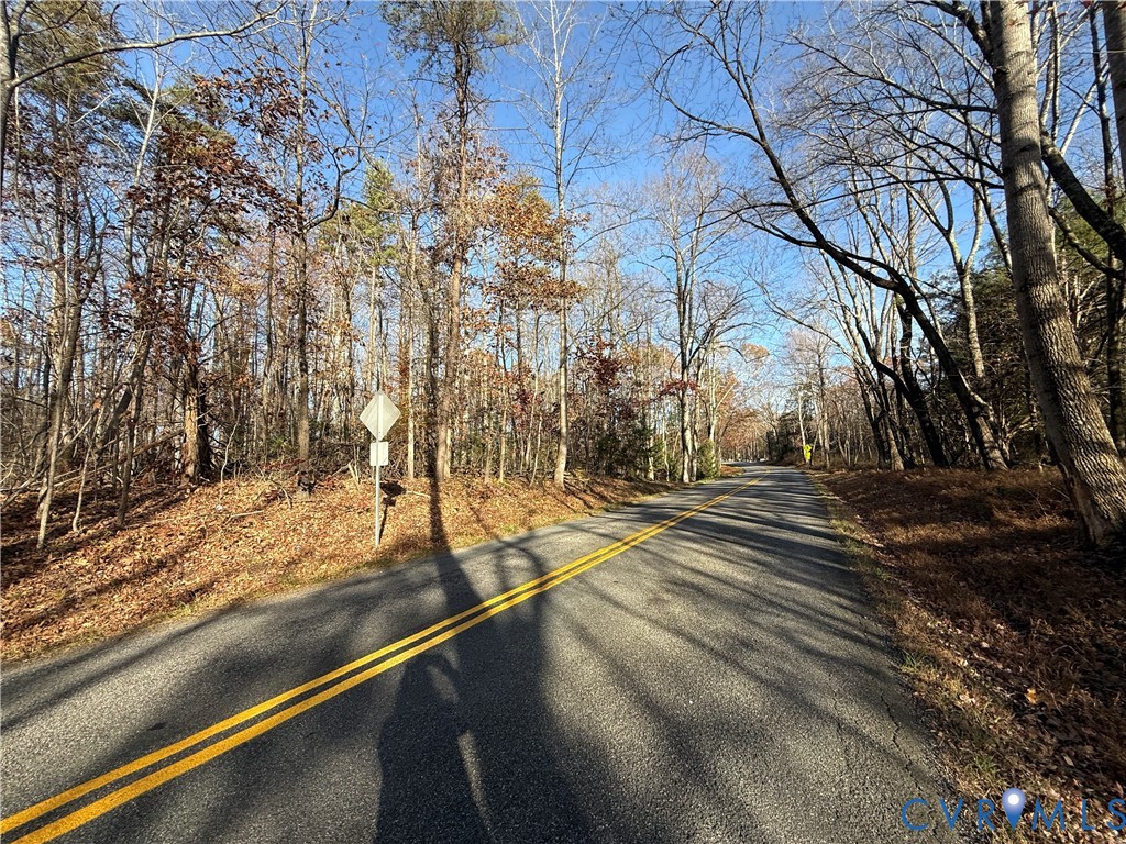 0 Hadensville-Fife Road Goochland, VA 23063 - Photo 6 of 14 a view of a yard with large tree