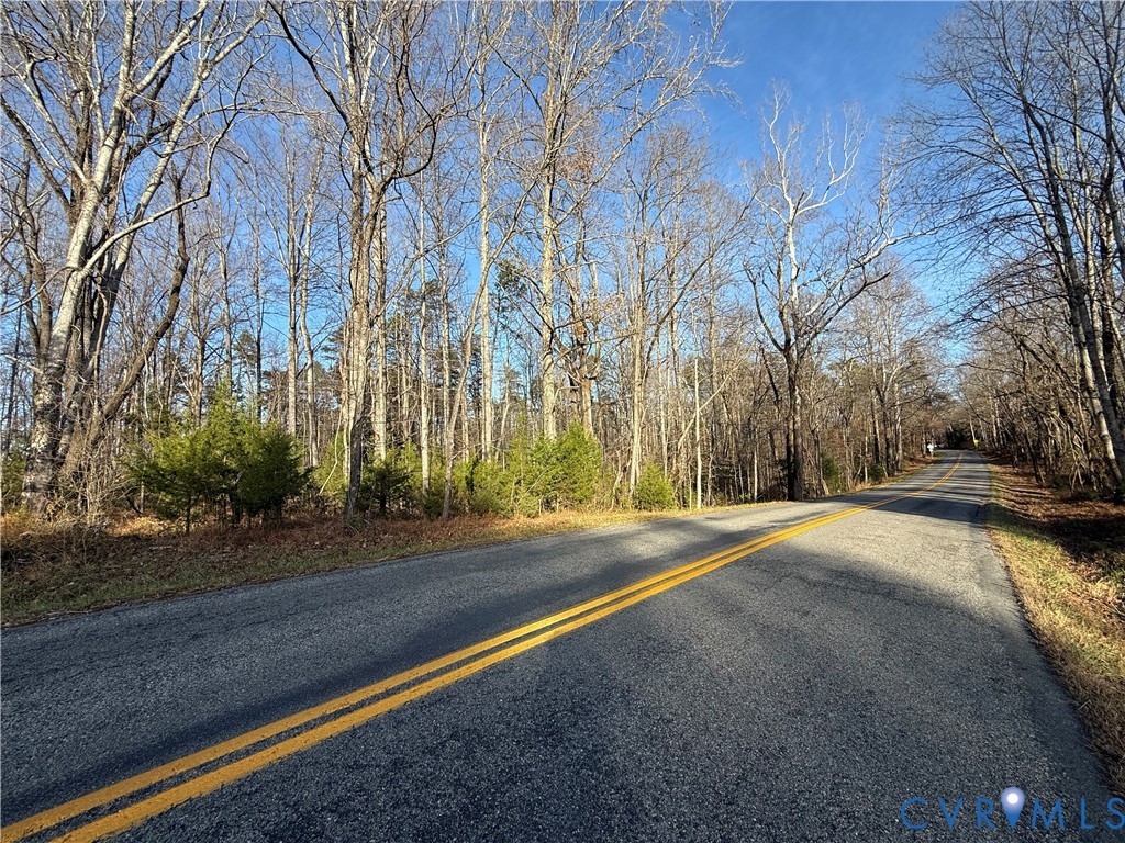 0 Hadensville-Fife Road Goochland, VA 23063 - Photo 7 of 14