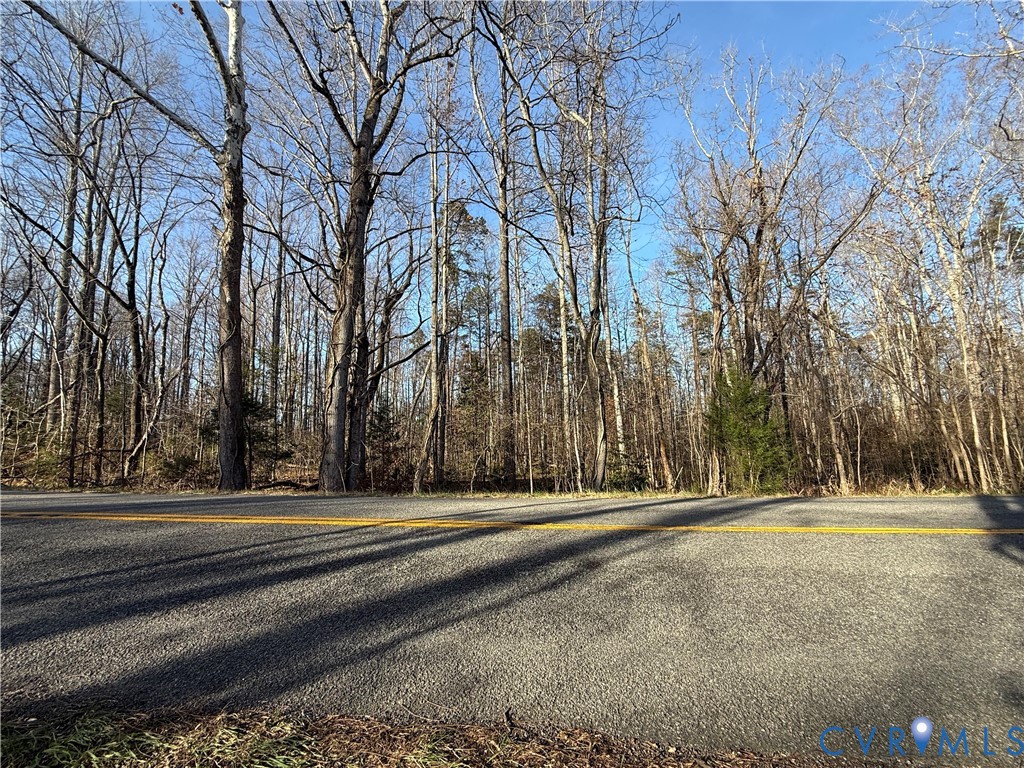 0 Hadensville-Fife Road Goochland, VA 23063 - Photo 8 of 14 a view of outdoor space with city view