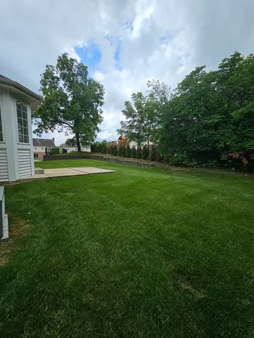 a view of a field of grass and trees