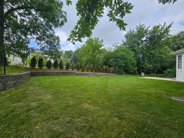 a view of a trees in a yard