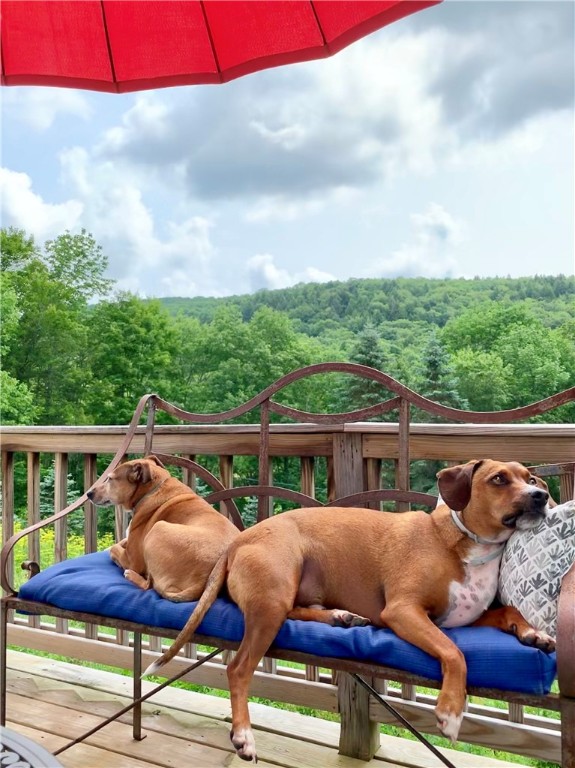 718 County Rt 3 Fleischmanns, NY 12430 - Photo 20 of 32