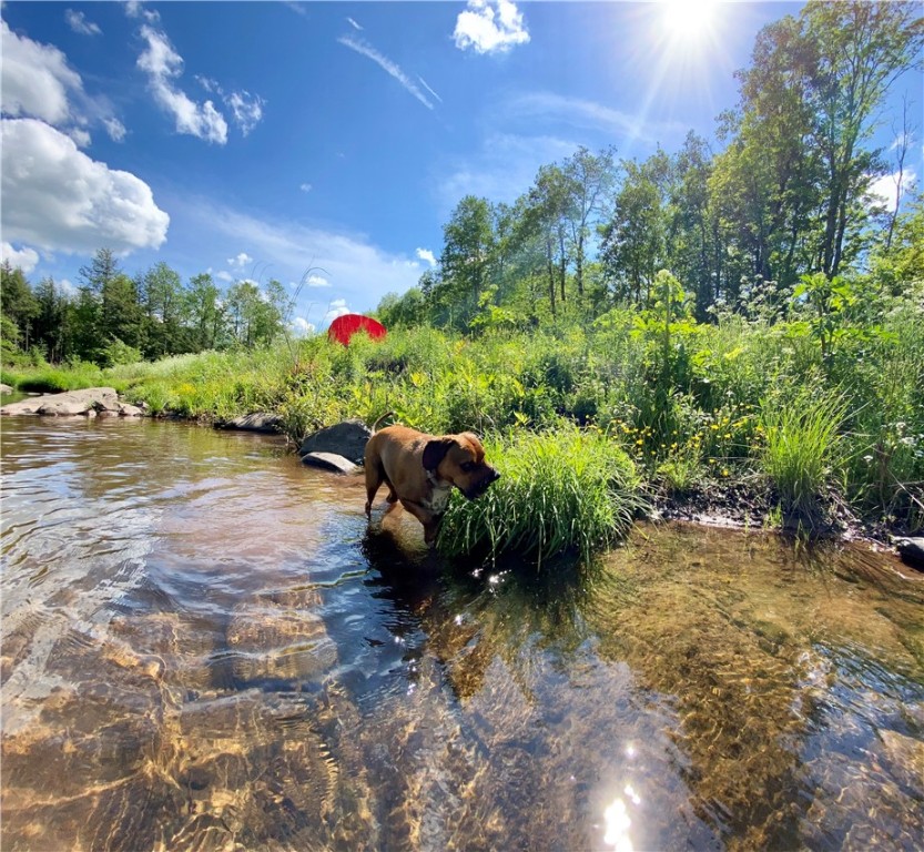 718 County Rt 3 Fleischmanns, NY 12430 - Photo 25 of 32