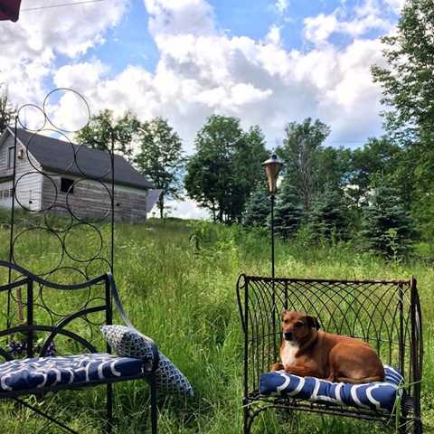 718 County Rt 3 Fleischmanns, NY 12430 - Photo 29 of 32