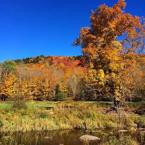 718 County Rt 3 Fleischmanns, NY 12430 - Photo 31 of 32