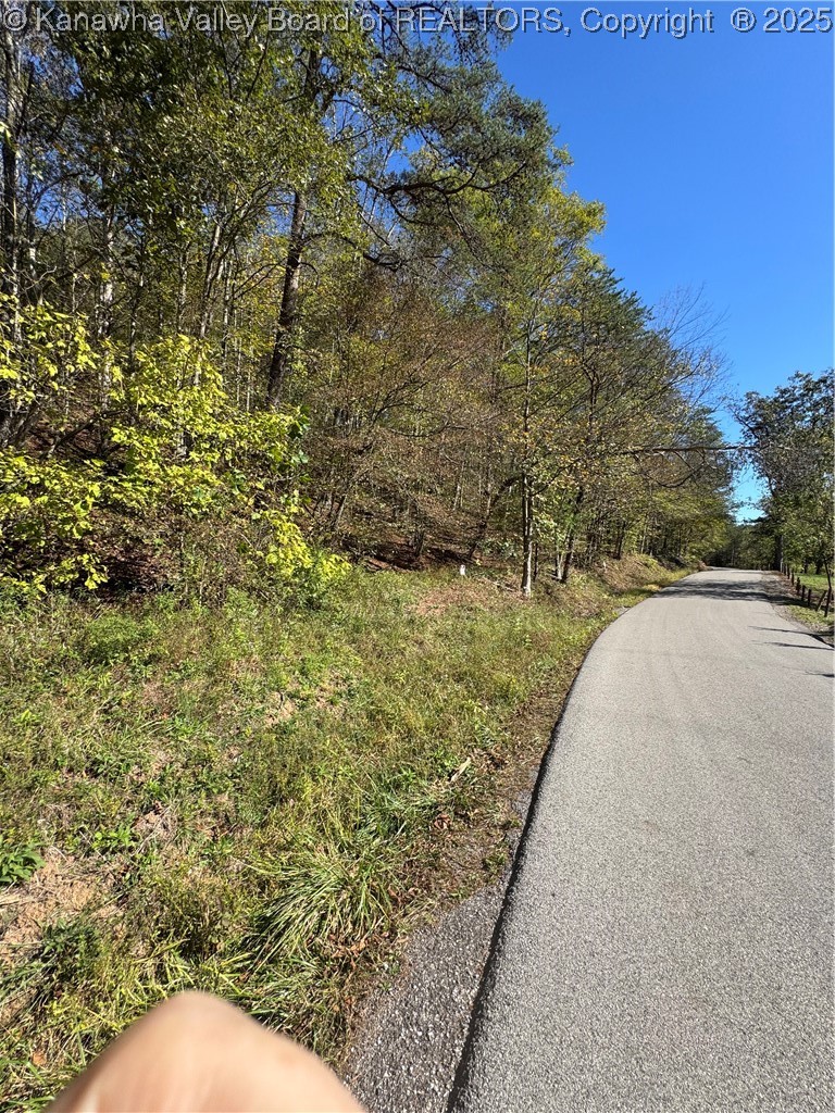 0 Derricks Creek Road Charleston, WV 25320 - Photo 4 of 4 Gallery Image 4