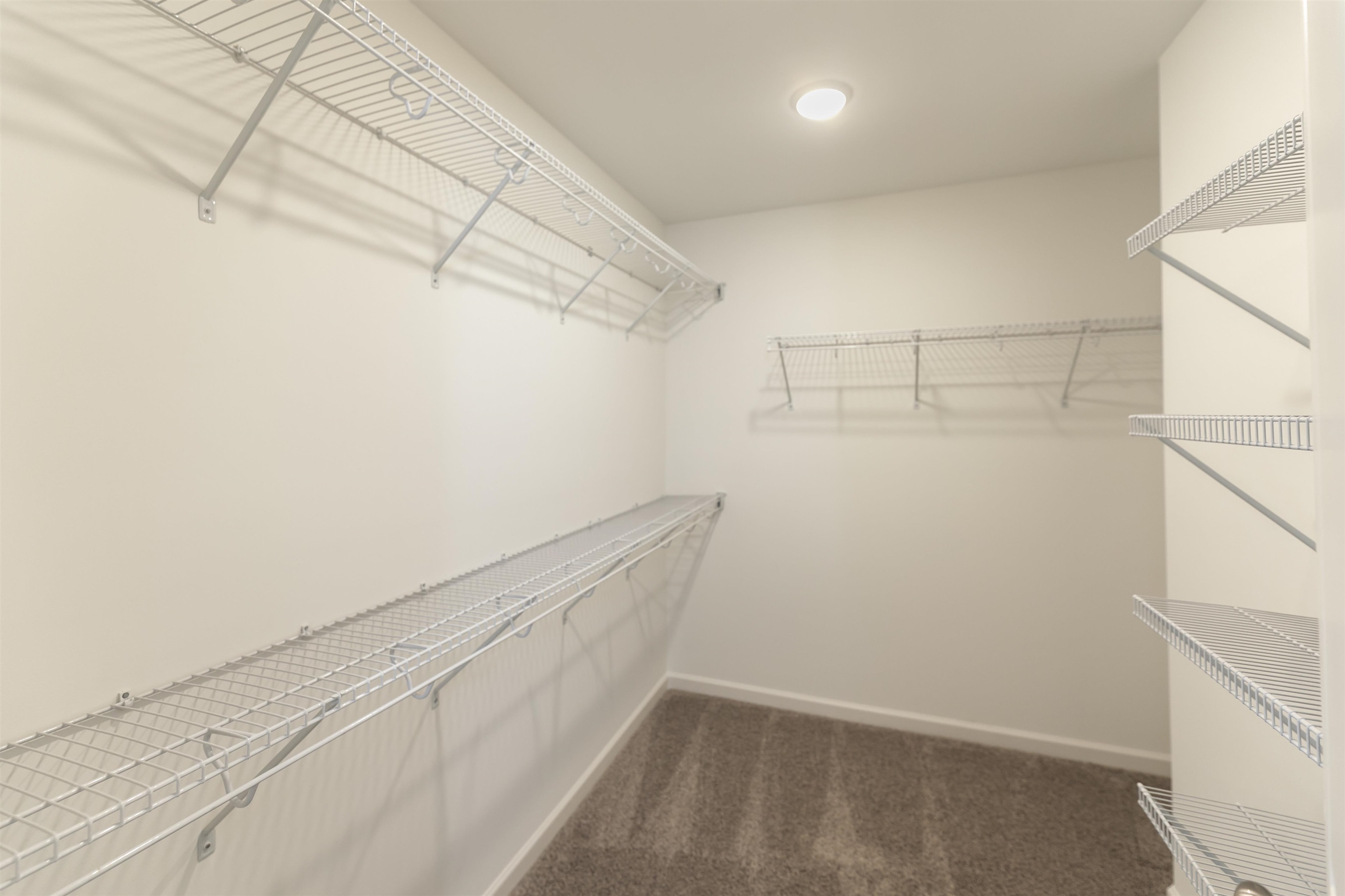 8662 Colleton Way Cordova, TN 38018 - Photo 12 of 18 Gallery Image 12