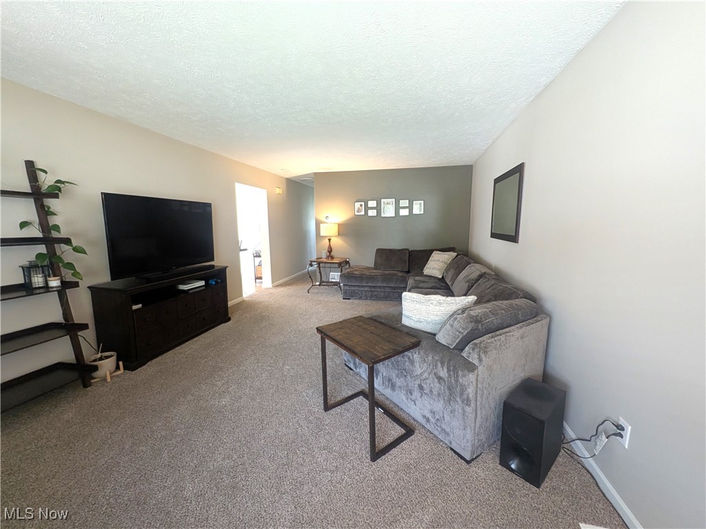 1127 Mayfield Ridge Road Cleveland, OH 44124 - Photo 13 of 47 Living room featuring carpet floors
