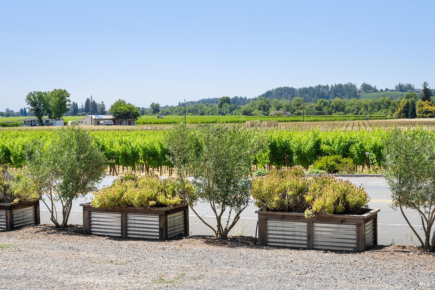 995 Dry Creek Road Healdsburg, CA 95448 - Photo 15 of 57 a view of a lake with outdoor space