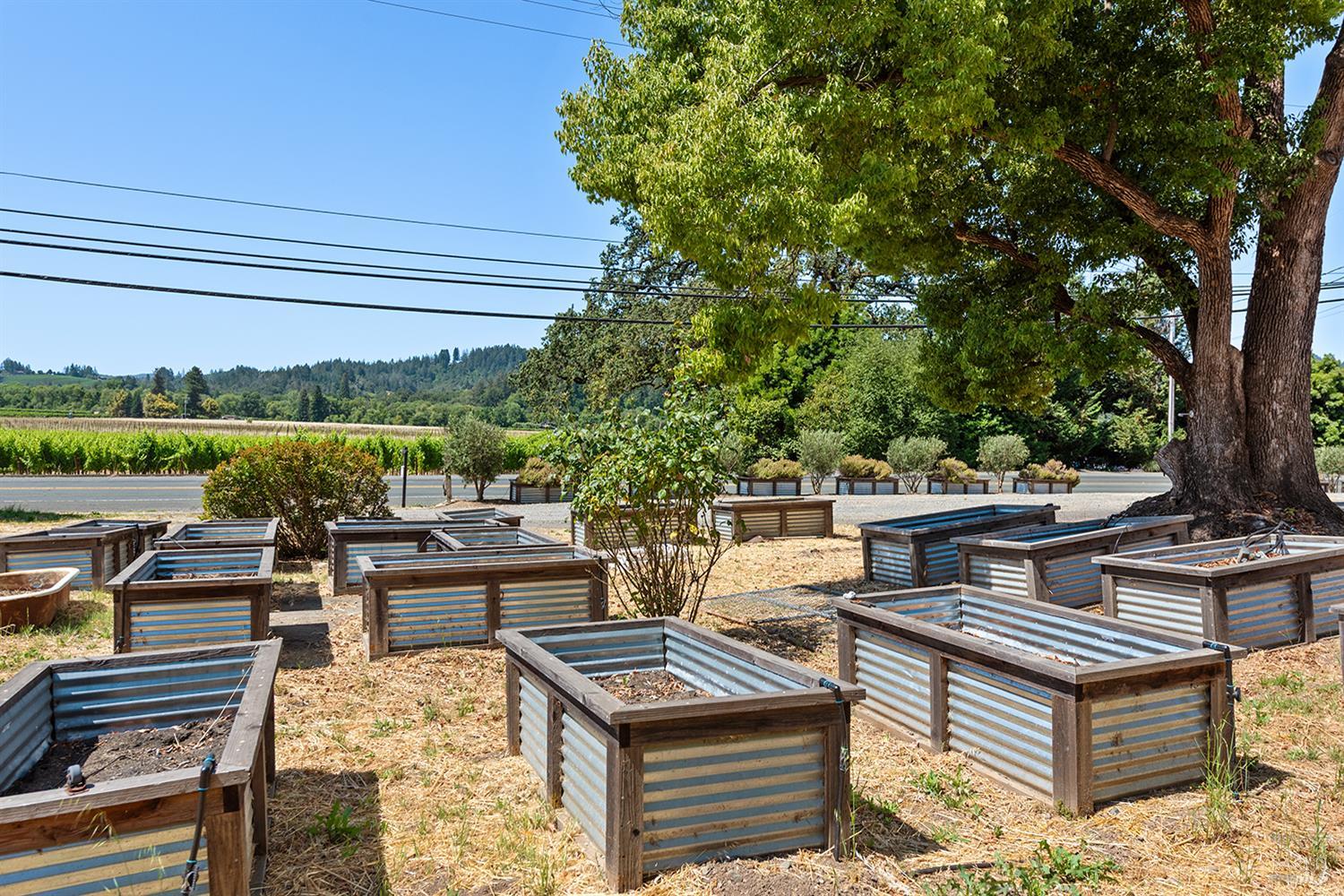 995 Dry Creek Road Healdsburg, CA 95448 - Photo 18 of 57 a view of a patio with chairs and a potted plant