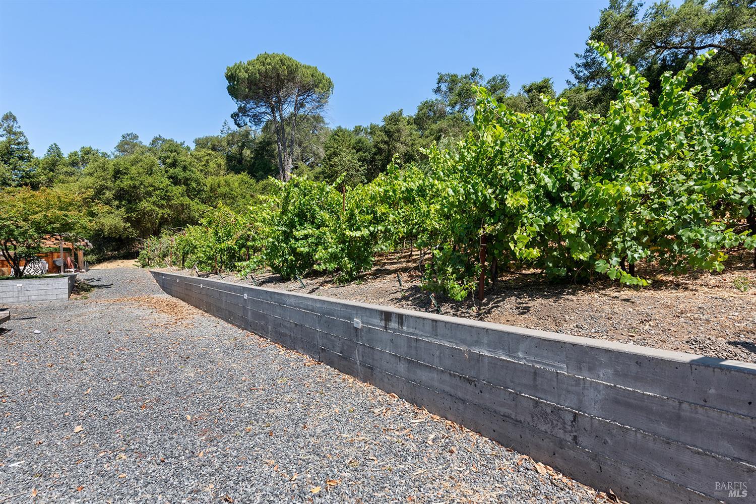 995 Dry Creek Road Healdsburg, CA 95448 - Photo 47 of 57 a view of a park with plants and a bench