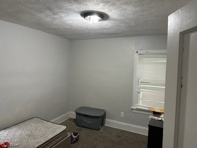920 Yellowstone Road Cleveland Heights, OH 44121 - Photo 14 of 33 Bedroom featuring a textured ceiling and dark carpet