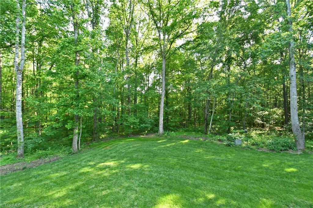 172 Rabbit Field Lane Advance, NC 27006 - Photo 18 of 24 Gallery Image 18