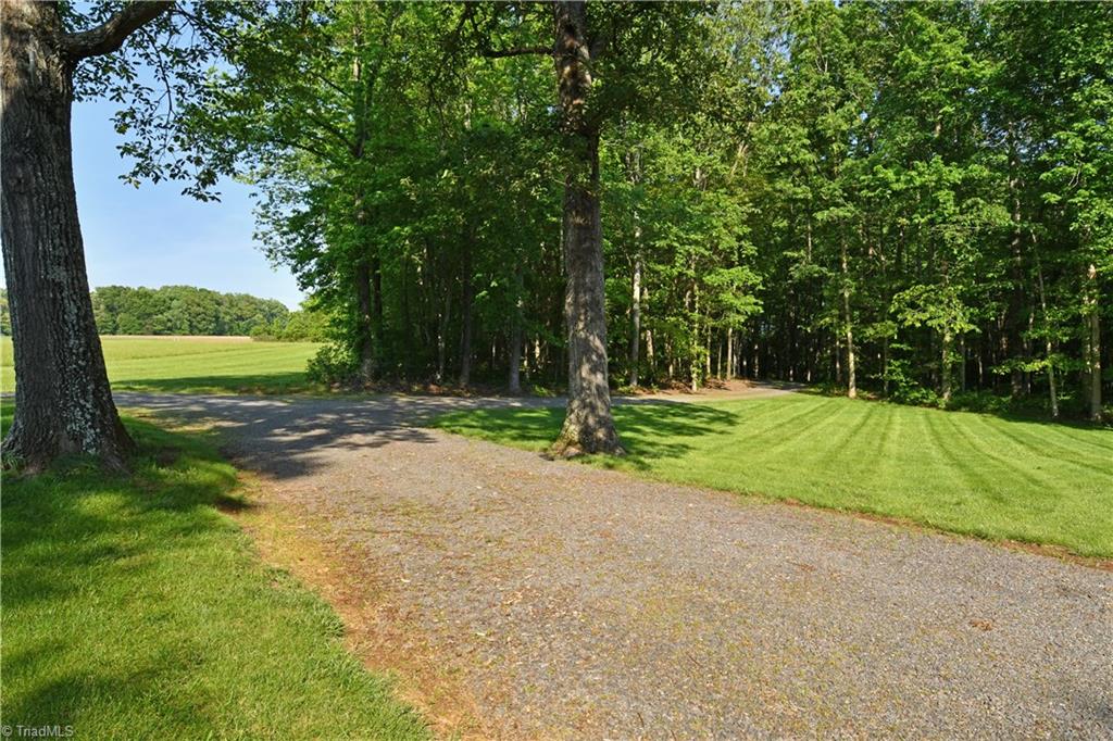 172 Rabbit Field Lane Advance, NC 27006 - Photo 3 of 24 Gallery Image 3