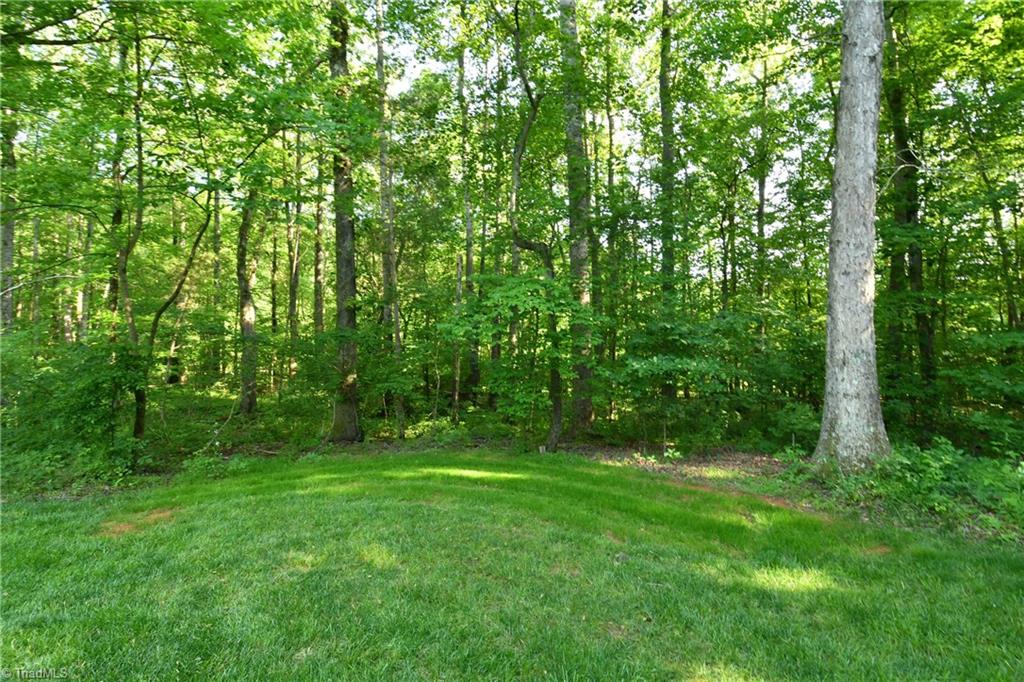 172 Rabbit Field Lane Advance, NC 27006 - Photo 23 of 24 Gallery Image 23