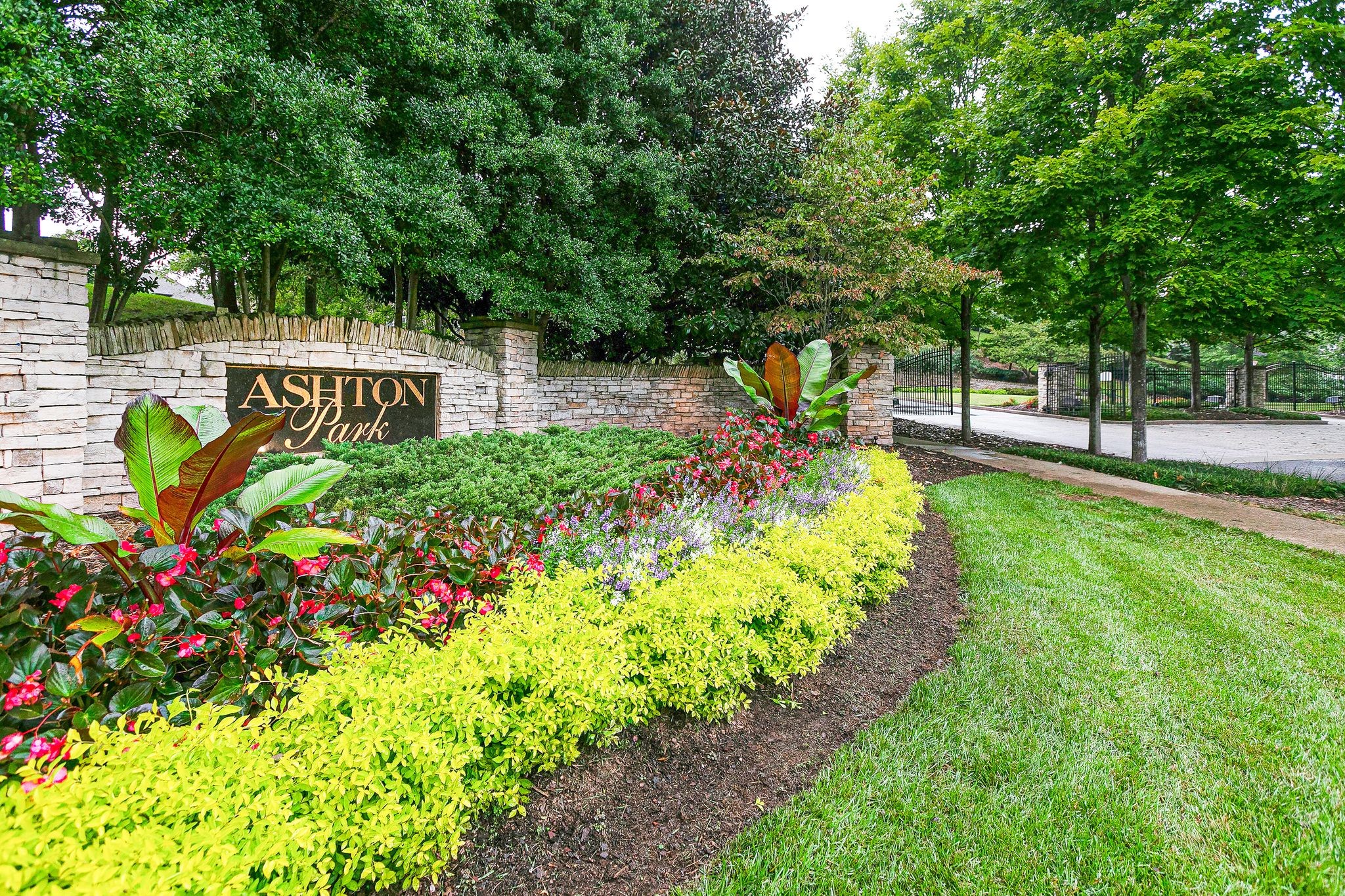 149 Allenhurst Circle Franklin, TN 37067 - Photo 63 of 66 a view of a garden with flowers