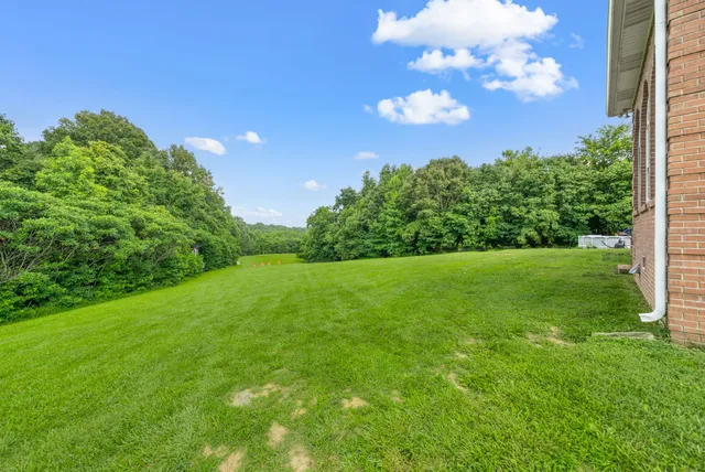 a view of a big yard with plants and large trees