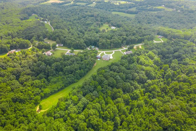 a view of a forest with a houses