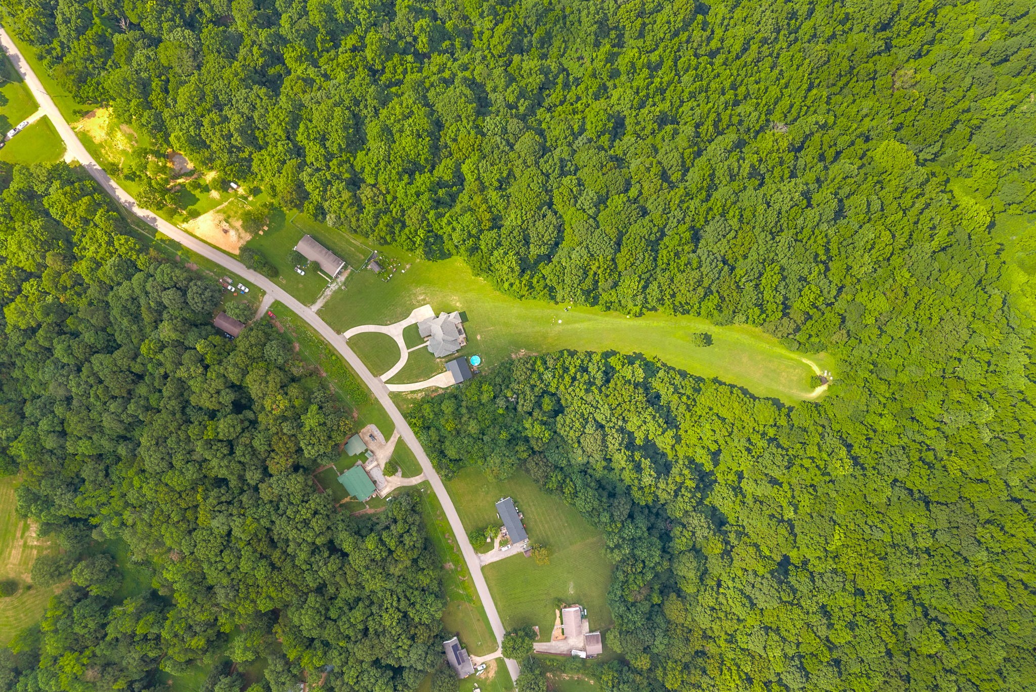 3723 Reed Road Indian Mound, TN 37079 - Photo 47 of 47 a view of a yard with plants
