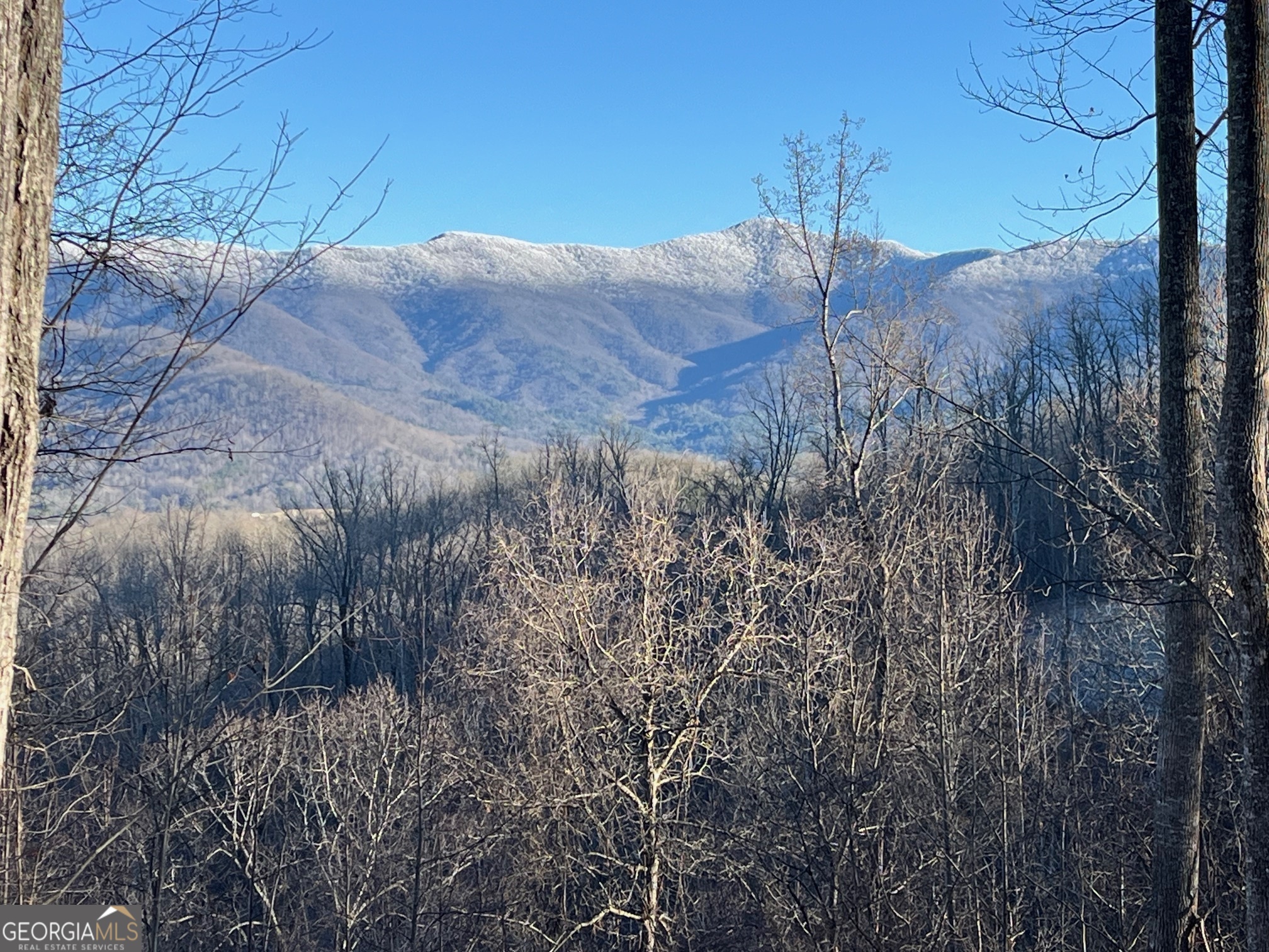 Lot 4 Morgan Ridge Drive Young Harris, GA 30582 - Photo 11 of 11 a view of a backyard