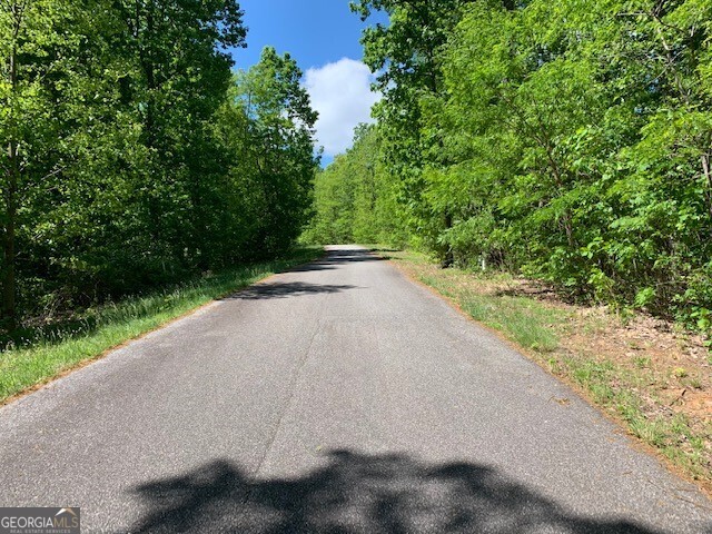 Lot 4 Morgan Ridge Drive Young Harris, GA 30582 - Photo 2 of 11 a view of a road with a yard