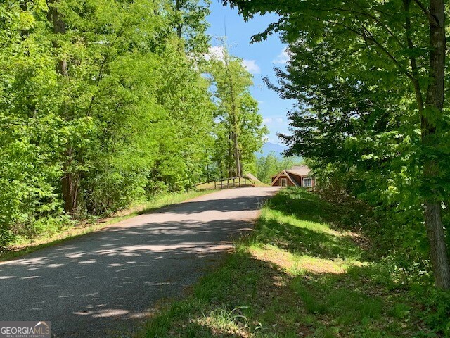 Lot 4 Morgan Ridge Drive Young Harris, GA 30582 - Photo 3 of 11 a view of a yard with plants and large trees