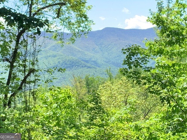 Lot 4 Morgan Ridge Drive Young Harris, GA 30582 - Photo 5 of 11 a view of a yard
