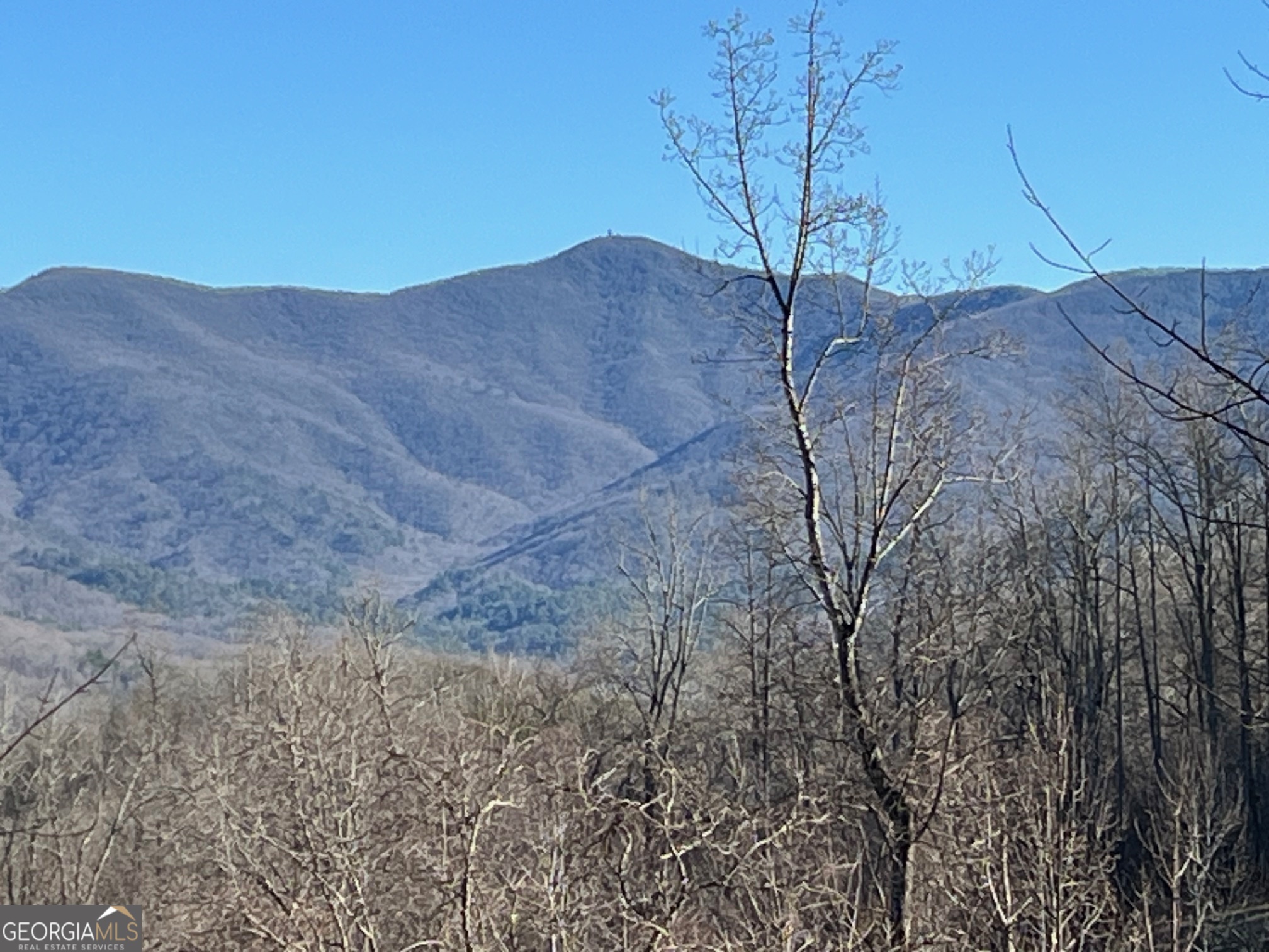 Lot 4 Morgan Ridge Drive Young Harris, GA 30582 - Photo 7 of 11 a view of a dry yard