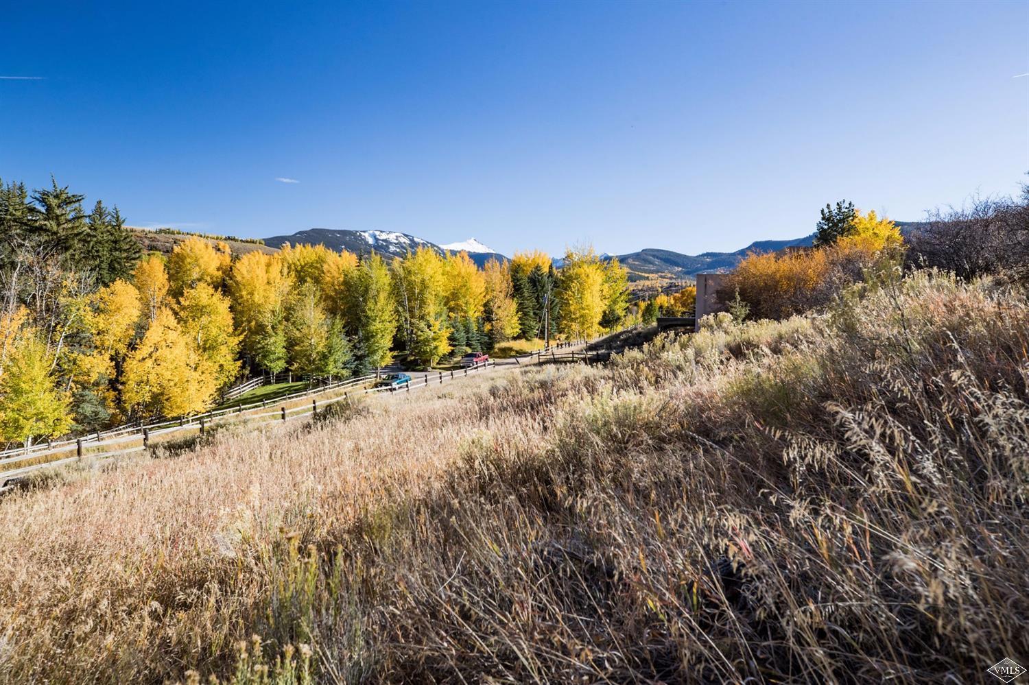 485 Meadow Road Edwards, CO 81632 - Photo 3 of 8 a view of a forest