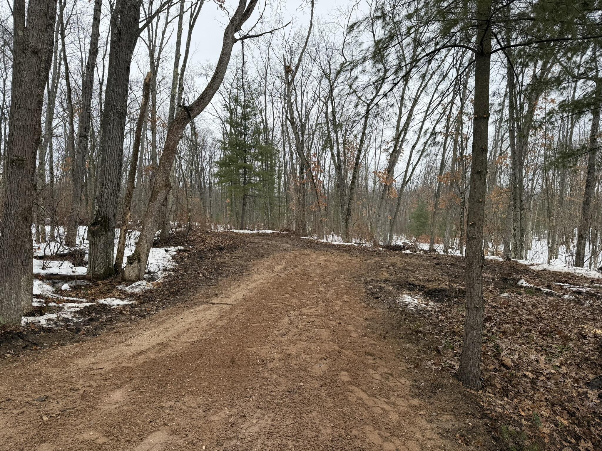 Steinberg Road Wellston, MI 49689 - Photo 1 of 6 IMG_0129