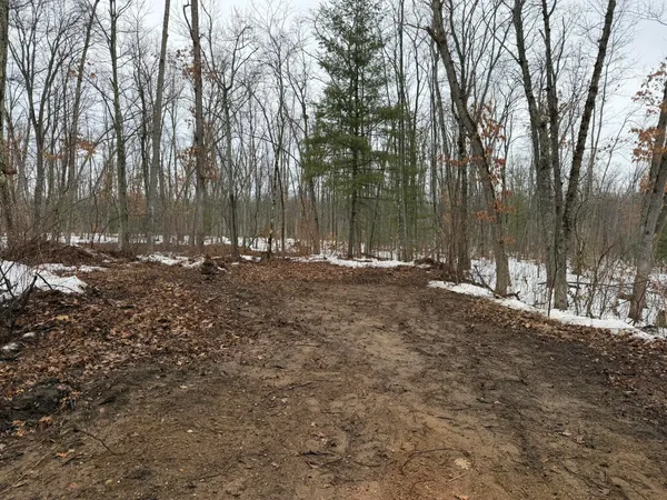 $49,900 | Steinberg Road, Wellston, MI 49689