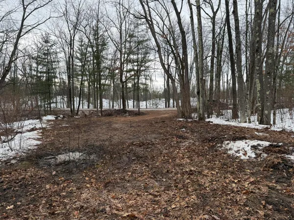 $49,900 | Steinberg Road, Wellston, MI 49689