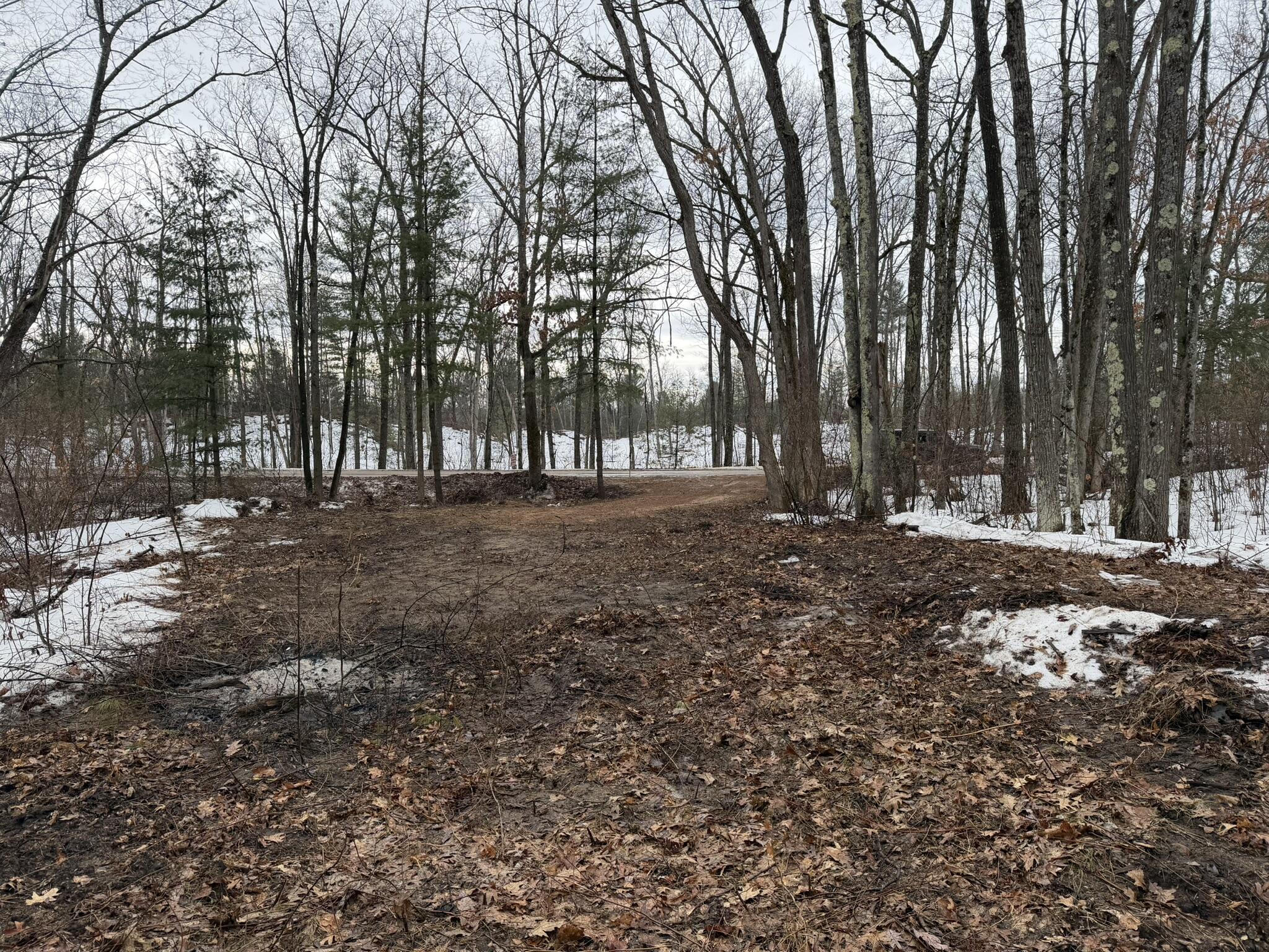 Steinberg Road Wellston, MI 49689 - Photo 4 of 6 IMG_0133