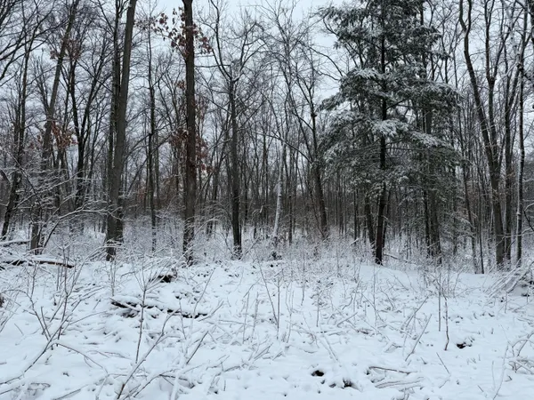 $49,900 | Steinberg Road, Wellston, MI 49689