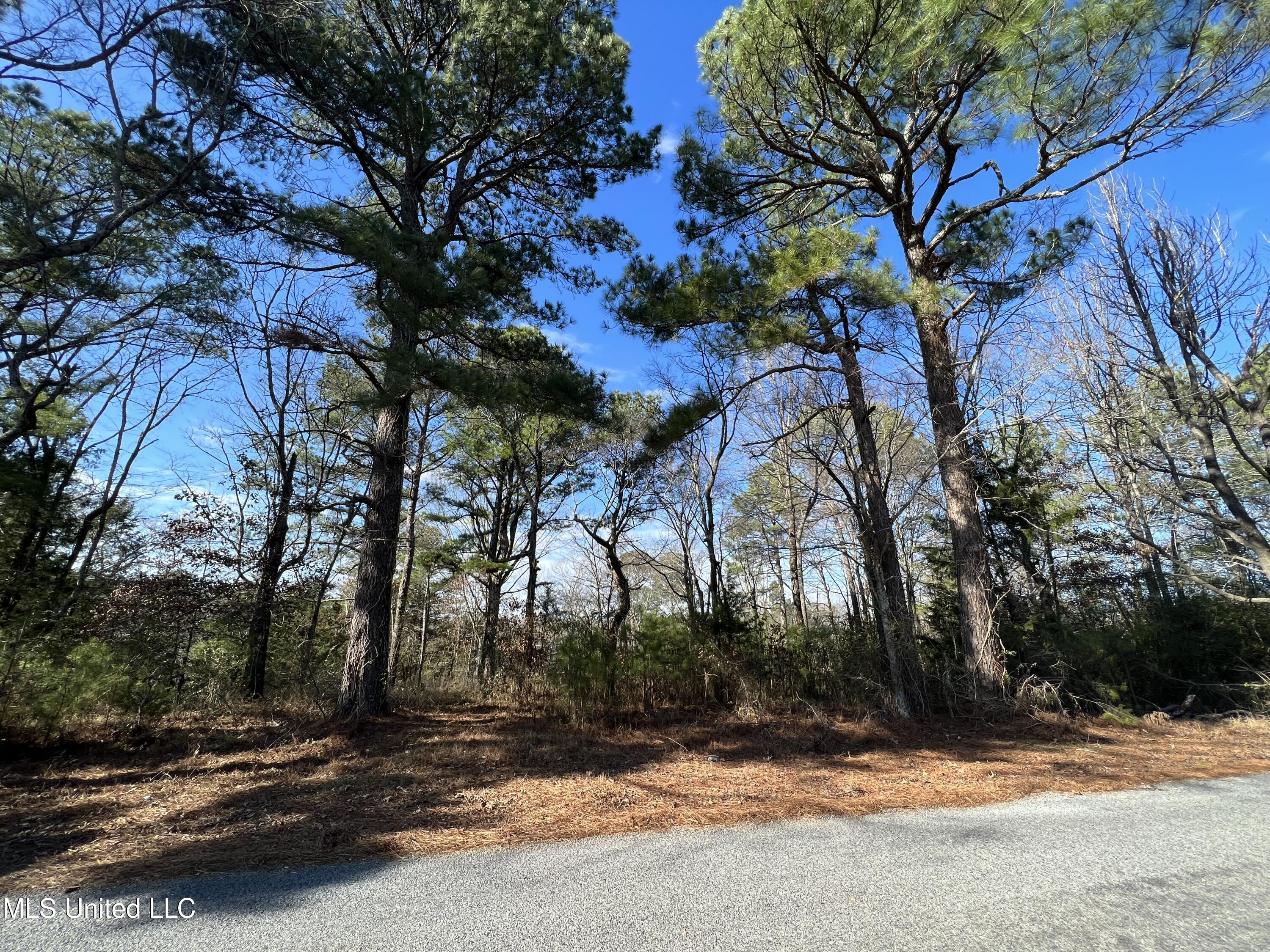 0 Peavine Road Coldwater, MS 38618 - Photo 1 of 12 Great lot