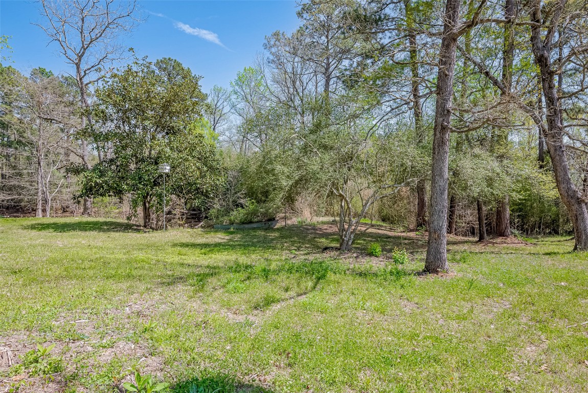 14 Veronica Lane Huntsville, TX 77340 - Photo 31 of 50 a backyard of a house with lots of green space