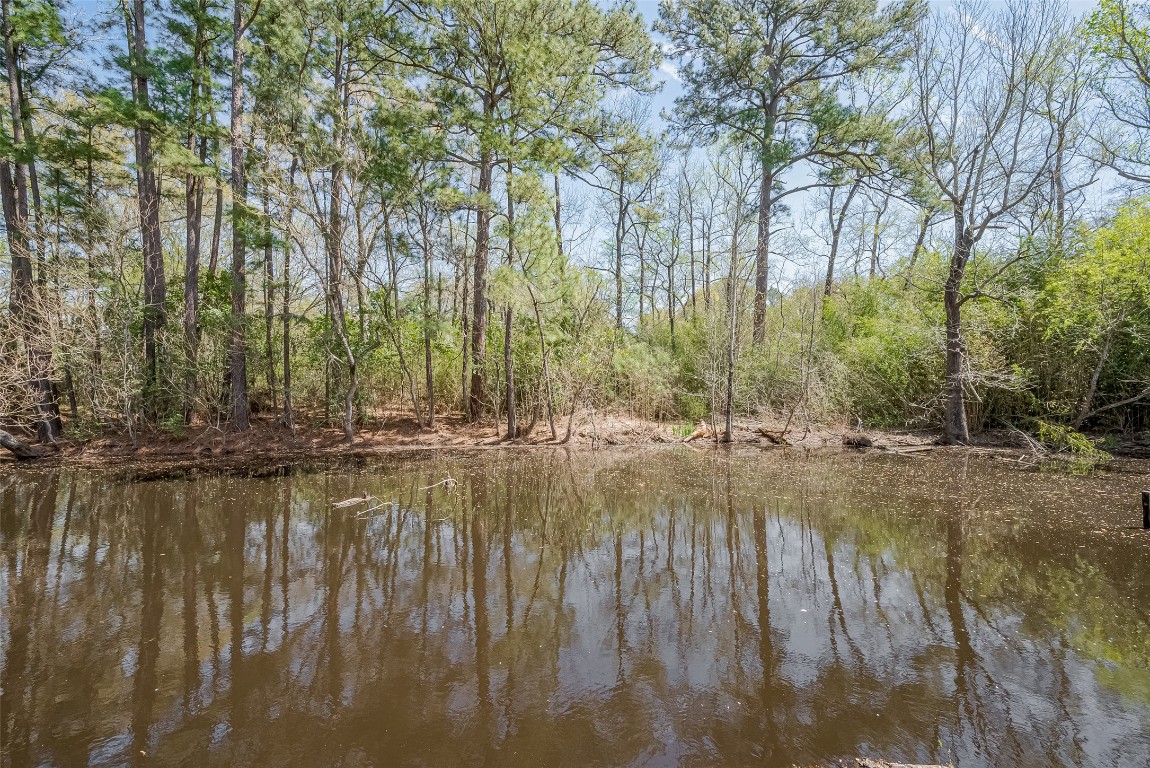 14 Veronica Lane Huntsville, TX 77340 - Photo 41 of 50 a view of a lake view
