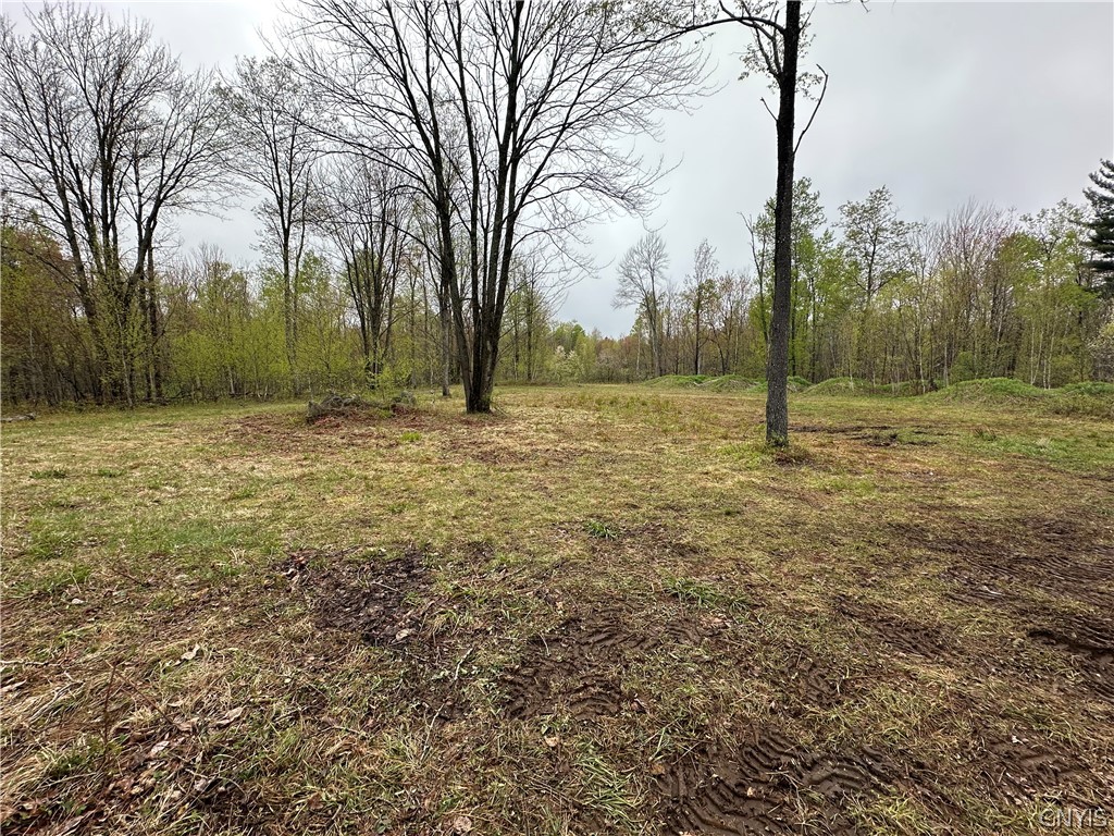 4815 Texas Road Croghan, NY 13619 - Photo 11 of 19
